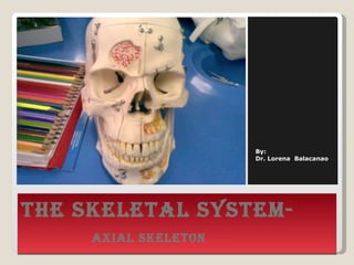 THE SKELETAL SYSTEM-  Axial Skeleton ,[object Object],[object Object]