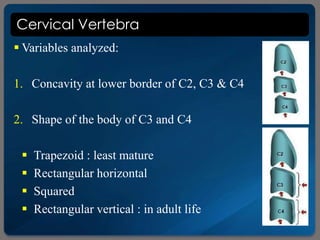 Cervical Vertebra
 Variables analyzed:
1. Concavity at lower border of C2, C3 & C4
2. Shape of the body of C3 and C4
 Trapezoid : least mature
 Rectangular horizontal
 Squared
 Rectangular vertical : in adult life
 