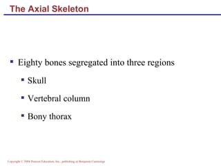 Skeletal anatomy part 1 | PPT