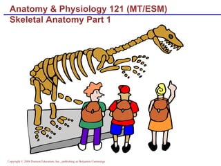 Anatomy & Physiology 121 (MT/ESM) Skeletal Anatomy Part 1 