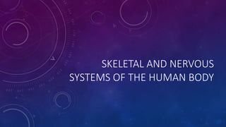 SKELETAL AND NERVOUS
SYSTEMS OF THE HUMAN BODY
 