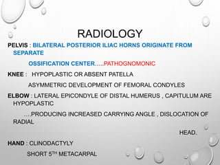 RADIOLOGY
PELVIS : BILATERAL POSTERIOR ILIAC HORNS ORIGINATE FROM
SEPARATE
OSSIFICATION CENTER…..PATHOGNOMONIC
KNEE : HYPOPLASTIC OR ABSENT PATELLA
ASYMMETRIC DEVELOPMENT OF FEMORAL CONDYLES
ELBOW : LATERAL EPICONDYLE OF DISTAL HUMERUS , CAPITULUM ARE
HYPOPLASTIC
….PRODUCING INCREASED CARRYING ANGLE , DISLOCATION OF
RADIAL
HEAD.
HAND : CLINODACTYLY
SHORT 5TH METACARPAL
 