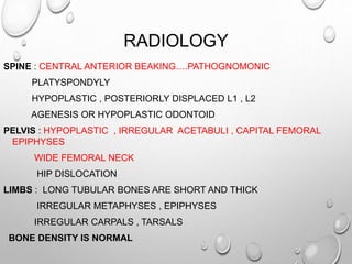 RADIOLOGY
SPINE : CENTRAL ANTERIOR BEAKING….PATHOGNOMONIC
PLATYSPONDYLY
HYPOPLASTIC , POSTERIORLY DISPLACED L1 , L2
AGENESIS OR HYPOPLASTIC ODONTOID
PELVIS : HYPOPLASTIC , IRREGULAR ACETABULI , CAPITAL FEMORAL
EPIPHYSES
WIDE FEMORAL NECK
HIP DISLOCATION
LIMBS : LONG TUBULAR BONES ARE SHORT AND THICK
IRREGULAR METAPHYSES , EPIPHYSES
IRREGULAR CARPALS , TARSALS
BONE DENSITY IS NORMAL
 