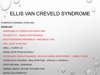 ELLIS VAN CREVELD SYNDROME
CHNDROECTODERMAL DYSPLASIA
RADIOLOGY
NARROWING OF THORAX WITH SHORT RIBS
POLYDACTYLY – TENDS TO BE POSTAXIAL
MILD TO MODERATE MICROMELIA – MESOMELIC TYPE
CHD – MOST OFTEN ASD
SMALL , FLARED ILIA
MEDIAL SPUR FROM ACETABULI
HYPOPLASTIC DISTAL PHALANGES , DELAYED CARPAL DEVELOPMENT , CARPAL FUSION
HYPOPLASTIC PROXIMAL TIBIAL EPIPHYSES , SPECIALLY LATERALLY
CRYPTORCHISM , EPISPADIAS
SPARSE, ABSENT, OR FINE TEXTURED HAIR
DENTAL MALFORMATION
 