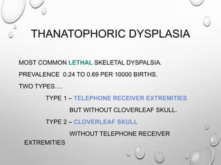 THANATOPHORIC DYSPLASIA
MOST COMMON LETHAL SKELETAL DYSPALSIA.
PREVALENCE 0.24 TO 0.69 PER 10000 BIRTHS.
TWO TYPES….
TYPE 1 – TELEPHONE RECEIVER EXTREMITIES
BUT WITHOUT CLOVERLEAF SKULL.
TYPE 2 – CLOVERLEAF SKULL
WITHOUT TELEPHONE RECEIVER
EXTREMITIES
 