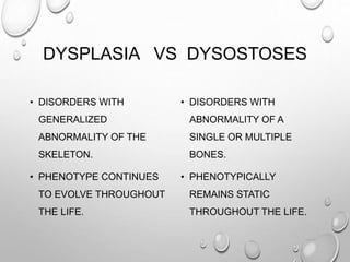 DYSPLASIA VS DYSOSTOSES
• DISORDERS WITH
GENERALIZED
ABNORMALITY OF THE
SKELETON.
• PHENOTYPE CONTINUES
TO EVOLVE THROUGHOUT
THE LIFE.
• DISORDERS WITH
ABNORMALITY OF A
SINGLE OR MULTIPLE
BONES.
• PHENOTYPICALLY
REMAINS STATIC
THROUGHOUT THE LIFE.
 