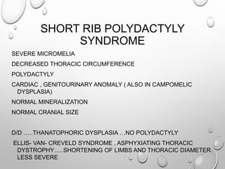 SHORT RIB POLYDACTYLY
SYNDROME
SEVERE MICROMELIA
DECREASED THORACIC CIRCUMFERENCE
POLYDACTYLY
CARDIAC , GENITOURINARY ANOMALY ( ALSO IN CAMPOMELIC
DYSPLASIA)
NORMAL MINERALIZATION
NORMAL CRANIAL SIZE
D/D …..THANATOPHORIC DYSPLASIA …NO POLYDACTYLY
ELLIS- VAN- CREVELD SYNDROME , ASPHYXIATING THORACIC
DYSTROPHY…..SHORTENING OF LIMBS AND THORACIC DIAMETER
LESS SEVERE
 
