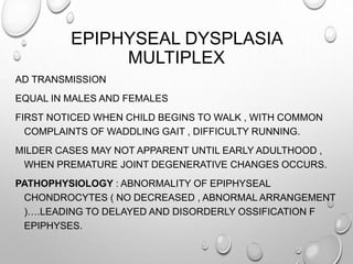 EPIPHYSEAL DYSPLASIA
MULTIPLEX
AD TRANSMISSION
EQUAL IN MALES AND FEMALES
FIRST NOTICED WHEN CHILD BEGINS TO WALK , WITH COMMON
COMPLAINTS OF WADDLING GAIT , DIFFICULTY RUNNING.
MILDER CASES MAY NOT APPARENT UNTIL EARLY ADULTHOOD ,
WHEN PREMATURE JOINT DEGENERATIVE CHANGES OCCURS.
PATHOPHYSIOLOGY : ABNORMALITY OF EPIPHYSEAL
CHONDROCYTES ( NO DECREASED , ABNORMAL ARRANGEMENT
)….LEADING TO DELAYED AND DISORDERLY OSSIFICATION F
EPIPHYSES.
 