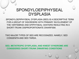 SPONDYLOEPIPHYSEAL
DYSPLASIA
. SPONDYLOEPIPHYSEAL DYSPLASIA (SED) IS A DESCRIPTIVE TERM
FOR A GROUP OF DISORDERS WITH PRIMARY INVOLVEMENT OF
THE VERTEBRAE AND EPIPHYSEAL CENTERS RESULTING IN A
SHORT-TRUNK DISPROPORTIONATE DWARFISM.
TWO MAJOR TYPES OF SED ARE RECOGNIZED, NAMELY, SED
CONGENITA AND SED TARDA.
SED, METATROPIC DYSPLASIA, AND KNIEST SYNDROME ARE
CONSIDERED SHORT-TRUNK DWARFING CONDITIONS
 