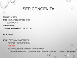 SED CONGENITA
PRESENT AT BIRTH
FACE : FLAT , WIDELY SPACED EYES
CLEFT PALATE
HEARING LOSS
OCCULAR INVOLVEMENT : MYOPIA , RD
NECK : SHORT
SPINE : PEAR SHAPED VERTEBRAE
WITH AGE - PLATYSPONDYLY
THIN DISC
SCOLIOSIS , SEVERE KYPHOSIS , HYPERLORDSIS
ODONTOID HYPOPLASIA , OCCASIONAL NON UNION OF ODONTOID….CERVICAL INSTABILITY
 