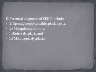 Differential diagnoses of SEDC include
 (1) Spondyloepiphysealdysplasia tarda,
 (2) Morquio’s syndrome,
 (3)Kniest dysplasia and
 (4) Metatropic dysplasia.
 