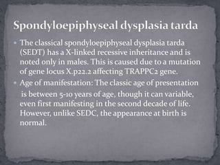  The classical spondyloepiphyseal dysplasia tarda
(SEDT) has a X-linked recessive inheritance and is
noted only in males. This is caused due to a mutation
of gene locus X.p22.2 affecting TRAPPC2 gene.
 Age of manifestation: The classic age of presentation
is between 5-10 years of age, though it can variable,
even first manifesting in the second decade of life.
However, unlike SEDC, the appearance at birth is
normal.
 