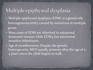  Multiple epiphyseal dysplasia (EDM) is a genetically
heterogeneous entity caused by mutations in multiple
genes.
 Most cases of EDM are inherited in autosomal
dominant manner while EDM4 has autosomal
recessive inheritance.
 Age of manifestation: Despite the genetic
heterogeneity, MED usually presents after the age of 2-
4 years when the child begins to walk.
 