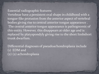 Essential radiographic features:
Vertebrae have a persistent oval shape in childhood with a
tongue-like protusion from the anterior aspect of vertebral
bodies giving rise to central anterior tongue appearance .
The central anterior tongue appearance is pathognomic of
this entity. However, this disappears at older age and is
replaced by platyspondyly giving rise to the short limbshort
trunk dwarfism.
Differential diagnoses of pseudoachondroplasia include
(1) EDM and
(2) (2) achondroplasia
 