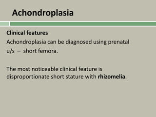 Achondroplasia
Clinical features
Achondroplasia can be diagnosed using prenatal
u/s – short femora.
The most noticeable clinical feature is
disproportionate short stature with rhizomelia.
 