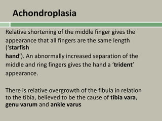 Achondroplasia
Relative shortening of the middle finger gives the
appearance that all fingers are the same length
(‘starfish
hand’). An abnormally increased separation of the
middle and ring fingers gives the hand a ‘trident’
appearance.
There is relative overgrowth of the fibula in relation
to the tibia, believed to be the cause of tibia vara,
genu varum and ankle varus
 
