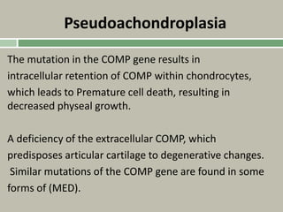 Pseudoachondroplasia
The mutation in the COMP gene results in
intracellular retention of COMP within chondrocytes,
which leads to Premature cell death, resulting in
decreased physeal growth.
A deficiency of the extracellular COMP, which
predisposes articular cartilage to degenerative changes.
Similar mutations of the COMP gene are found in some
forms of (MED).
 