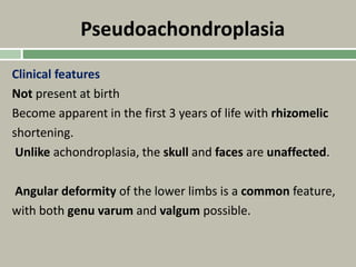 Pseudoachondroplasia
Clinical features
Not present at birth
Become apparent in the first 3 years of life with rhizomelic
shortening.
Unlike achondroplasia, the skull and faces are unaffected.
Angular deformity of the lower limbs is a common feature,
with both genu varum and valgum possible.
 