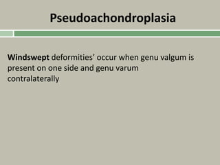 Pseudoachondroplasia
Windswept deformities’ occur when genu valgum is
present on one side and genu varum
contralaterally
 
