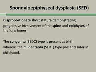 Spondyloepiphyseal dysplasia (SED)
Disproportionate short stature demonstrating
progressive involvement of the spine and epiphyses of
the long bones.
The congenita (SEDC) type is present at birth
whereas the milder tarda (SEDT) type presents later in
childhood.
 