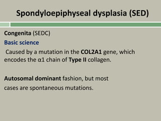 Spondyloepiphyseal dysplasia (SED)
Congenita (SEDC)
Basic science
Caused by a mutation in the COL2A1 gene, which
encodes the α1 chain of Type II collagen.
Autosomal dominant fashion, but most
cases are spontaneous mutations.
 