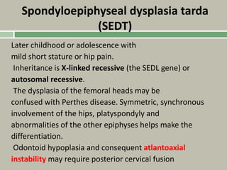 Spondyloepiphyseal dysplasia tarda
(SEDT)
Later childhood or adolescence with
mild short stature or hip pain.
Inheritance is X-linked recessive (the SEDL gene) or
autosomal recessive.
The dysplasia of the femoral heads may be
confused with Perthes disease. Symmetric, synchronous
involvement of the hips, platyspondyly and
abnormalities of the other epiphyses helps make the
differentiation.
Odontoid hypoplasia and consequent atlantoaxial
instability may require posterior cervical fusion
 