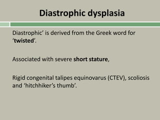 Diastrophic dysplasia
Diastrophic’ is derived from the Greek word for
‘twisted’.
Associated with severe short stature,
Rigid congenital talipes equinovarus (CTEV), scoliosis
and ‘hitchhiker’s thumb’.
 