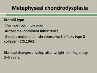 Metaphyseal chondrodysplasia
Schmid type
The most common type
Autosomal dominant inheritance,
Genetic mutation on chromosome 6 affects type X
collagen (COL10A1)
Skeletal changes develop after weight-bearing at age
3–5 years.
 