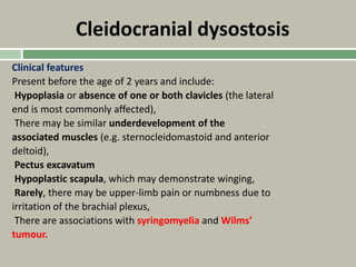 Cleidocranial dysostosis
Clinical features
Present before the age of 2 years and include:
Hypoplasia or absence of one or both clavicles (the lateral
end is most commonly affected),
There may be similar underdevelopment of the
associated muscles (e.g. sternocleidomastoid and anterior
deltoid),
Pectus excavatum
Hypoplastic scapula, which may demonstrate winging,
Rarely, there may be upper-limb pain or numbness due to
irritation of the brachial plexus,
There are associations with syringomyelia and Wilms’
tumour.
 