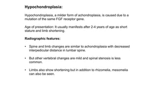 Hypochondroplasia:
Hypochondroplasia, a milder form of achondroplasia, is caused due to a
mutation of the same FGF receptor gene.
Age of presentation: It usually manifests after 2-4 years of age as short
stature and limb shortening.
Radiographic features:
• Spine and limb changes are similar to achondroplasia with decreased
interpedicular distance in lumbar spine.
• But other vertebral changes are mild and spinal stenosis is less
common.
• Limbs also show shortening but in addition to rhizomelia, mesomelia
can also be seen.
 