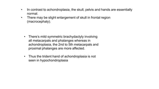 • In contrast to achondroplasia, the skull, pelvis and hands are essentially
normal.
• There may be slight enlargement of skull in frontal region
(macrocephaly).
• There’s mild symmetric brachydactyly involving
all metacarpals and phalanges whereas in
achondroplasia, the 2nd to 5th metacarpals and
proximal phalanges are more affected.
• Thus the trident hand of achondroplasia is not
seen in hypochondroplasia
 