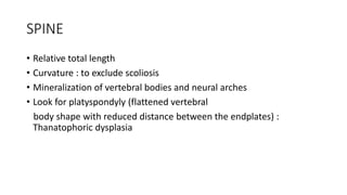 SPINE
• Relative total length
• Curvature : to exclude scoliosis
• Mineralization of vertebral bodies and neural arches
• Look for platyspondyly (flattened vertebral
body shape with reduced distance between the endplates) :
Thanatophoric dysplasia
 