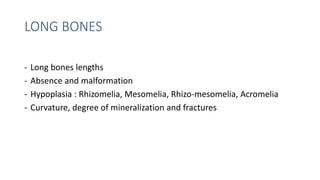 LONG BONES
- Long bones lengths
- Absence and malformation
- Hypoplasia : Rhizomelia, Mesomelia, Rhizo-mesomelia, Acromelia
- Curvature, degree of mineralization and fractures
 