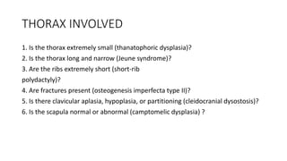 THORAX INVOLVED
1. Is the thorax extremely small (thanatophoric dysplasia)?
2. Is the thorax long and narrow (Jeune syndrome)?
3. Are the ribs extremely short (short-rib
polydactyly)?
4. Are fractures present (osteogenesis imperfecta type II)?
5. Is there clavicular aplasia, hypoplasia, or partitioning (cleidocranial dysostosis)?
6. Is the scapula normal or abnormal (camptomelic dysplasia) ?
 