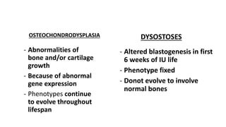 OSTEOCHONDRODYSPLASIA DYSOSTOSES
- Abnormalities of
bone and/or cartilage
growth
- Because of abnormal
gene expression
- Phenotypes continue
to evolve throughout
lifespan
- Altered blastogenesis in first
6 weeks of IU life
- Phenotype fixed
- Donot evolve to involve
normal bones
 