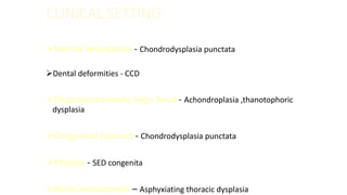 CLINICAL SETTING
Mental retardation - Chondrodysplasia punctata
Dental deformities - CCD
Disproportionately large head - Achondroplasia ,thanotophoric
dysplasia
Congenital cataract - Chondrodysplasia punctata
Myopia - SED congenita
Renal involvement – Asphyxiating thoracic dysplasia
 