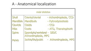 A - Anatomical localization
Axial skeleton
Skull
Mandible
Clavicle
Ribs
Spine
Pelvis
Cranio/cranial - Achondroplasia, CCD
Mandibulo - Pyknodysostosis
Cleido - CCD
Costo - ATD, Thanatophoric
Spondylo/vertebral - SEDC
Achondroplasia, MPS
Ischio/ilio/pubic - Achondroplasia, MPS
 