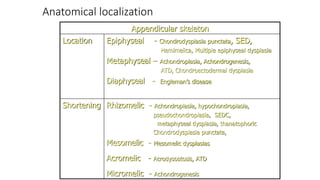 Anatomical localization
Appendicular skeleton
Location Epiphyseal - Chondrodysplasia punctata, SED,
Hemimelica, Multiple epiphyseal dysplasia
Metaphyseal – Achondroplasia, Achondrogenesis,
ATD, Chondroectodermal dysplasia
Diaphyseal - Engleman’s disease
Shortening Rhizomelic - Achondroplasia, hypochondroplasia,
pseudochondroplasia, SEDC,
metaphyseal dysplasia, thanatophoric
Chondrodysplasia punctata,
Mesomelic - Mesomelic dysplasias
Acromelic - Acrodysostosis, ATD
Micromelic - Achondrogenesis
 