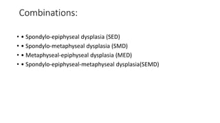 Combinations:
• • Spondylo-epiphyseal dysplasia (SED)
• • Spondylo-metaphyseal dysplasia (SMD)
• • Metaphyseal-epiphyseal dysplasia (MED)
• • Spondylo-epiphyseal-metaphyseal dysplasia(SEMD)
 