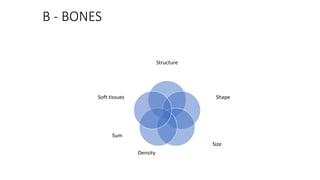 B - BONES
Structure
Shape
Size
Sum
Density
Soft tissues
 