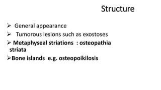 Structure
 General appearance
 Tumorous lesions such as exostoses
 Metaphyseal striations : osteopathia
striata
Bone islands e.g. osteopoikilosis
 