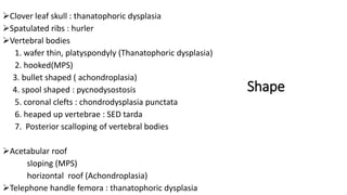 Shape
Clover leaf skull : thanatophoric dysplasia
Spatulated ribs : hurler
Vertebral bodies
1. wafer thin, platyspondyly (Thanatophoric dysplasia)
2. hooked(MPS)
3. bullet shaped ( achondroplasia)
4. spool shaped : pycnodysostosis
5. coronal clefts : chondrodysplasia punctata
6. heaped up vertebrae : SED tarda
7. Posterior scalloping of vertebral bodies
Acetabular roof
sloping (MPS)
horizontal roof (Achondroplasia)
Telephone handle femora : thanatophoric dysplasia
 