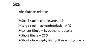 Size
Absolute or relative
Small skull – craniosynostosis
Large skull – achondroplasia, MPS
Longer fibula – hypochondroplasia
Short fibula – CCD
Short ribs – asphyxiating thorasic dysplasia
 