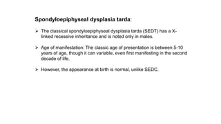 Spondyloepiphyseal dysplasia tarda:
⮚ The classical spondyloepiphyseal dysplasia tarda (SEDT) has a X-
linked recessive inheritance and is noted only in males.
⮚ Age of manifestation: The classic age of presentation is between 5-10
years of age, though it can variable, even first manifesting in the second
decade of life.
⮚ However, the appearance at birth is normal, unlike SEDC.
 
