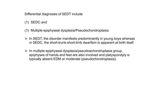 Differential diagnoses of SEDT include
(1) SEDC and
(1) Multiple epiphyseal dysplasia/Pseudochondroplasia.
⮚ In SEDT, the disorder manifests predominantly in young boys whereas
in SEDC, the short-trunk-short-limb dwarfism is apparent at birth itself
⮚ In multiple epiphyseal dysplasia/pseudoachondroplasia group,
epiphyses of hands and feet are also involved and platyspondyly is
typically absent EDM or moderate (pseudochondroplasia).
 