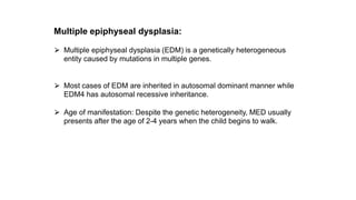 Multiple epiphyseal dysplasia:
⮚ Multiple epiphyseal dysplasia (EDM) is a genetically heterogeneous
entity caused by mutations in multiple genes.
⮚ Most cases of EDM are inherited in autosomal dominant manner while
EDM4 has autosomal recessive inheritance.
⮚ Age of manifestation: Despite the genetic heterogeneity, MED usually
presents after the age of 2-4 years when the child begins to walk.
 