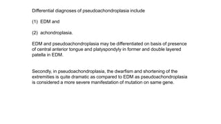 Differential diagnoses of pseudoachondroplasia include
(1) EDM and
(2) achondroplasia.
EDM and pseudoachondroplasia may be differentiated on basis of presence
of central anterior tongue and platyspondyly in former and double layered
patella in EDM.
Secondly, in pseudoachondroplasia, the dwarfism and shortening of the
extremities is quite dramatic as compared to EDM as pseudoachondroplasia
is considered a more severe manifestation of mutation on same gene.
 