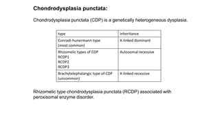 Chondrodysplasia punctata:
Chondrodysplasia punctata (CDP) is a genetically heterogeneous dysplasia.
Rhizomelic type chondrodysplasia punctata (RCDP) associated with
peroxisomal enzyme disorder.
type inheritance
Conradi-hunermann type
(most common)
X-linked dominant
Rhizomelic types of CDP
RCDP1
RCDP2
RCDP3
Autosomal recessive
Brachytelephalangic type of CDP
(uncommon)
X-linked recessive
 
