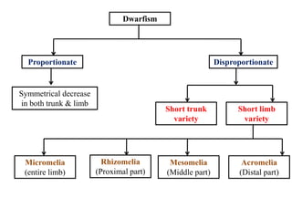 Dwarfism
Proportionate Disproportionate
Symmetrical decrease
in both trunk & limb
Short trunk
variety
Short limb
variety
Rhizomelia
(Proximal part)
Mesomelia
(Middle part)
Acromelia
(Distal part)
Micromelia
(entire limb)
 