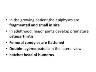 • In the growing patient,the epiphyses are
fragmented and small in size
• In adulthood, major joints develop premature
osteoarthritis
• Femoral condyles are flattened
• Double-layered patella in the lateral view
• hatchet head of humerus
 